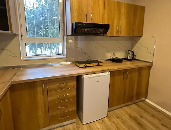 Bejart 5 * 地拉那